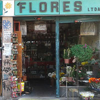 Galeria Flores Ltda Logo