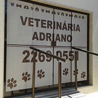 veterinaria-adriano thumbnail